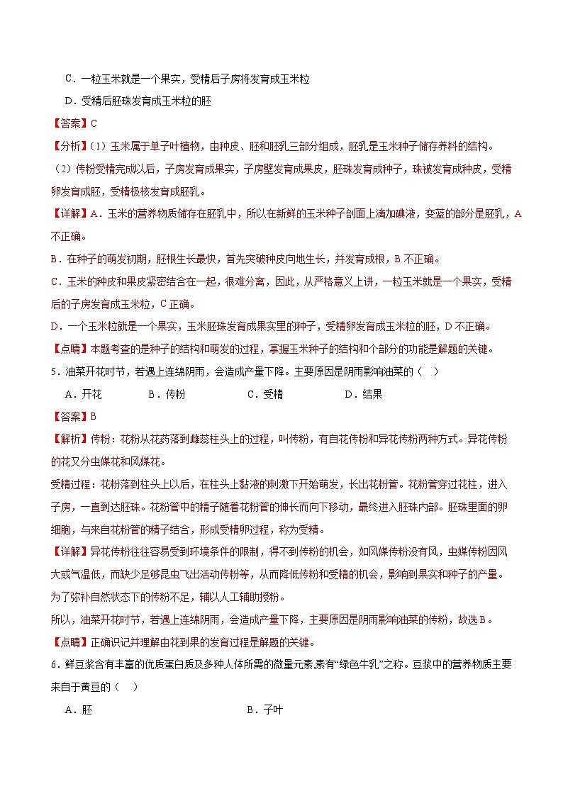 专题05 被子植物的一生(解析版)第3页