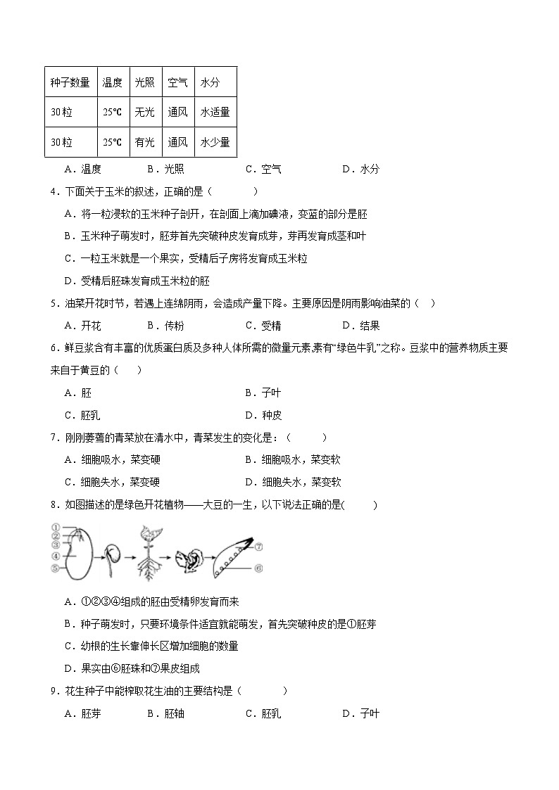 专题05 被子植物的一生(原卷版)第2页