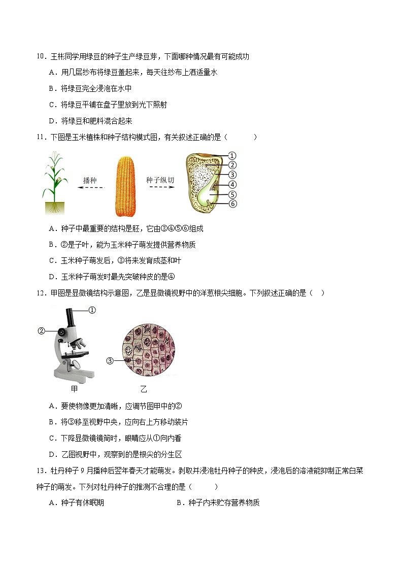 专题05 被子植物的一生(原卷版)第3页