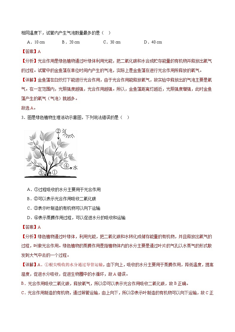 专题07 绿色植物的光合作用(解析版)第2页