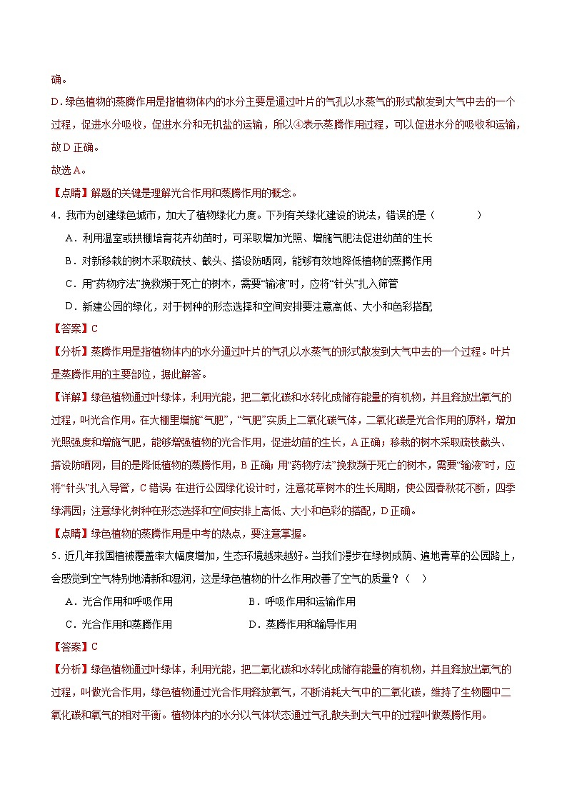 专题07 绿色植物的光合作用(解析版)第3页