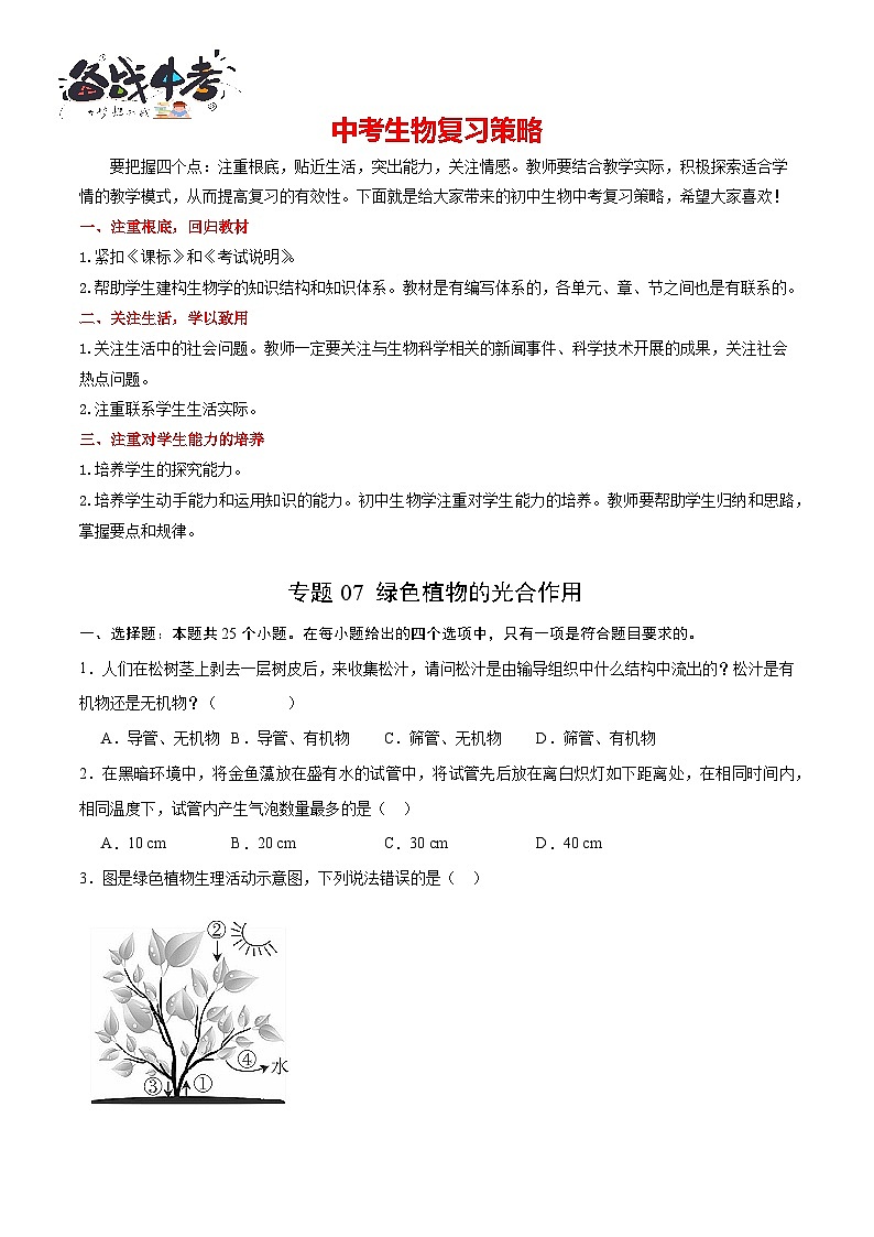 专题07 绿色植物的光合作用(原卷版)第1页