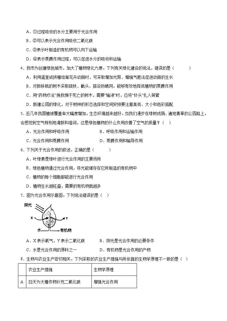 专题07 绿色植物的光合作用(原卷版)第2页