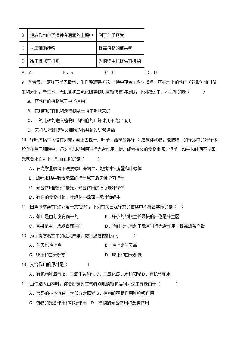 专题07 绿色植物的光合作用(原卷版)第3页
