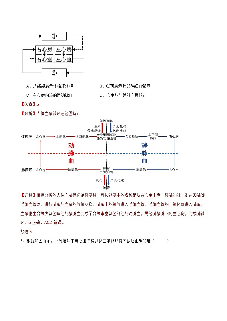 专题12 人体内物质的运输(解析版)第2页