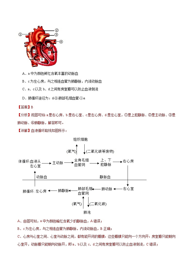 专题12 人体内物质的运输(解析版)第3页