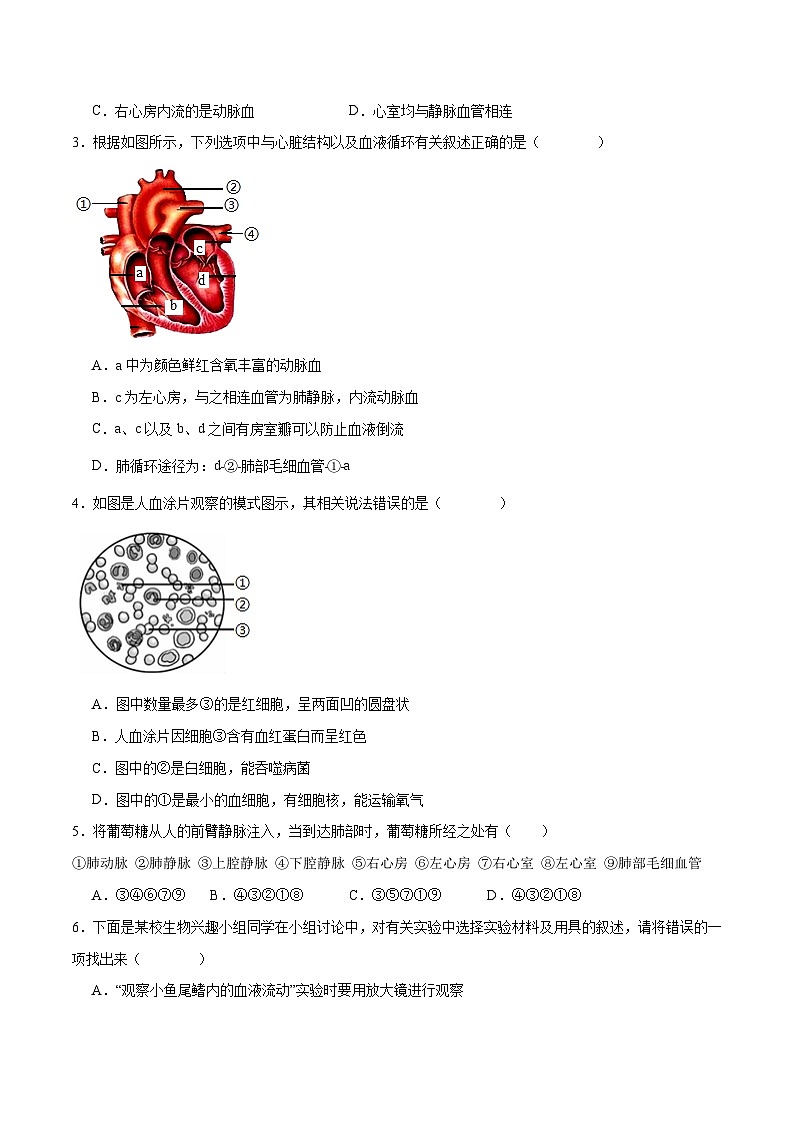 专题12 人体内物质的运输(试卷版)第2页