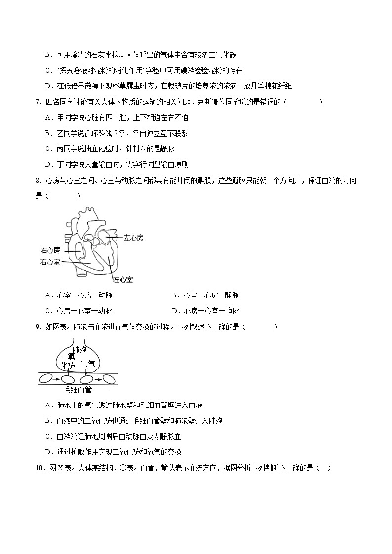 专题12 人体内物质的运输(试卷版)第3页
