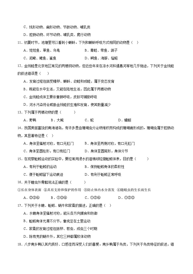 专题16 动物的主要类群(试卷版)第3页