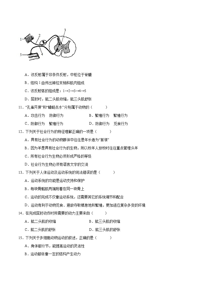 专题17 动物的运动和行为、动物在生物圈中的作用(试卷版)第3页