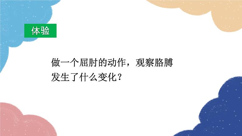 人教版生物八年级上册 5.2.1 动物的运动课件02