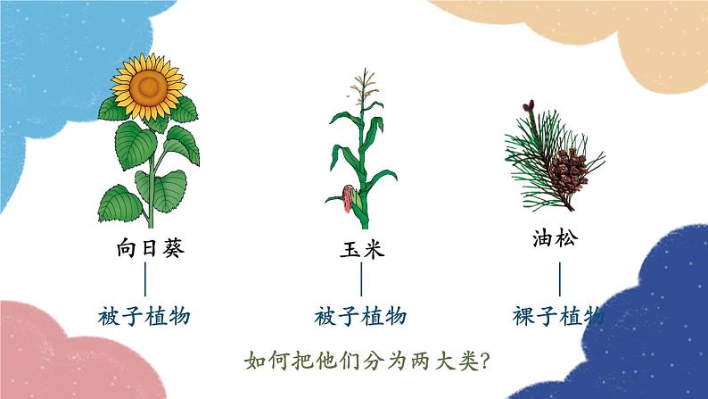 人教版生物八年级上册 6.1.1 尝试对生物进行分类优化课件第7页