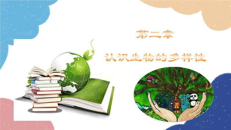 人教版生物八年级上册 6.2 认识生物的多样性优化课件03