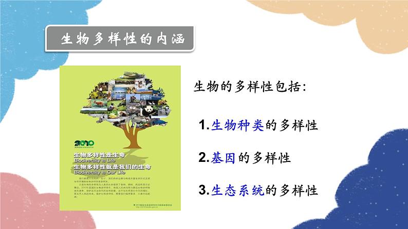 人教版生物八年级上册 6.2 认识生物的多样性优化课件04