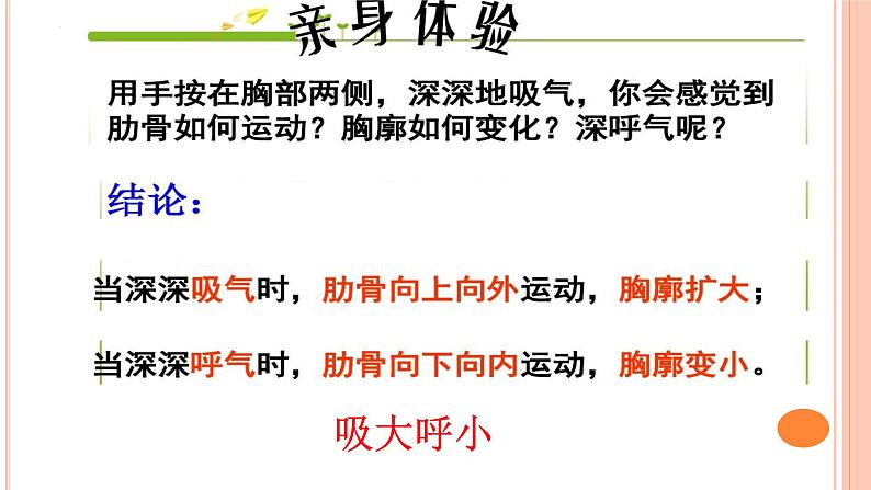 4.3.2++发生在肺内的气体交换++课件-2023-2024学年人教版生物七年级下册第4页