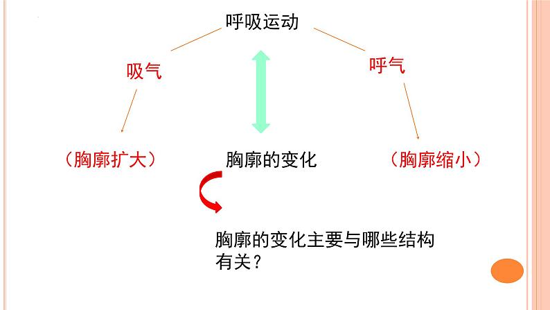 4.3.2++发生在肺内的气体交换++课件-2023-2024学年人教版生物七年级下册第5页