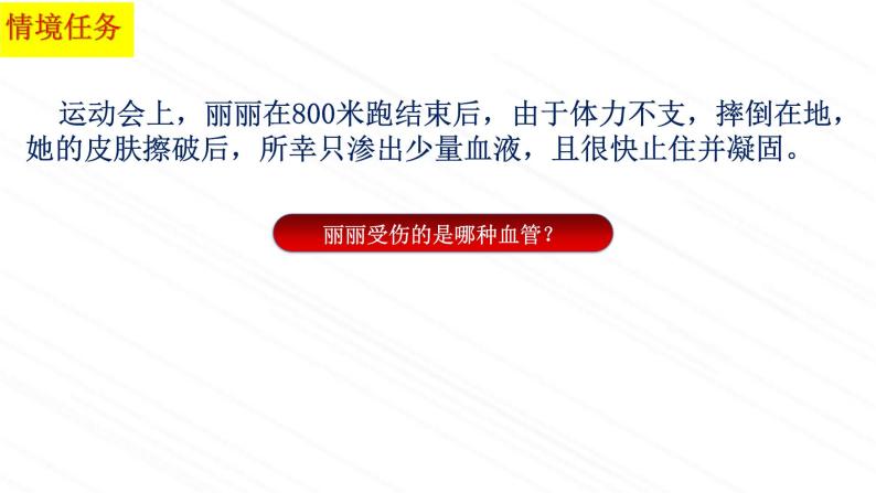 3.3.2++物质运输的器官（第一课时）课件-2023-2024学年济南版生物七年级下册01