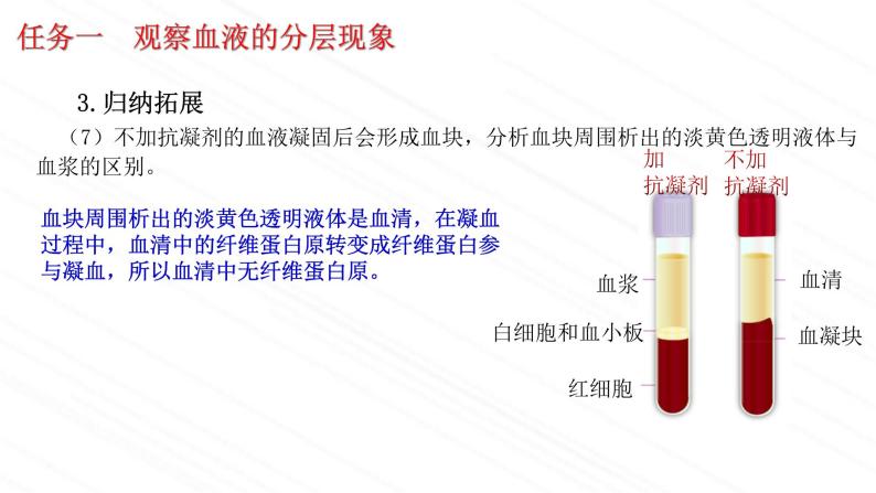 3.3.1++物质运输的载体++课件-2023-2024学年济南版生物七年级下册08