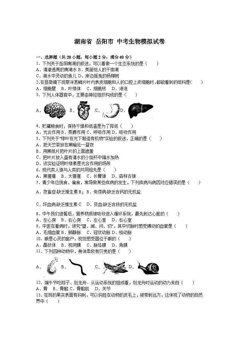【全套精品专题】初中生物复习专题精讲 湖南省岳阳市中考生物模拟试题(word版,含答案)第1页