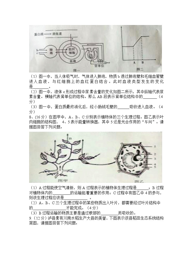 【全套精品專題】初中生物復(fù)習(xí)專題精講 四川省瀘州市中考生物模擬試題（word版，含答案）第2頁