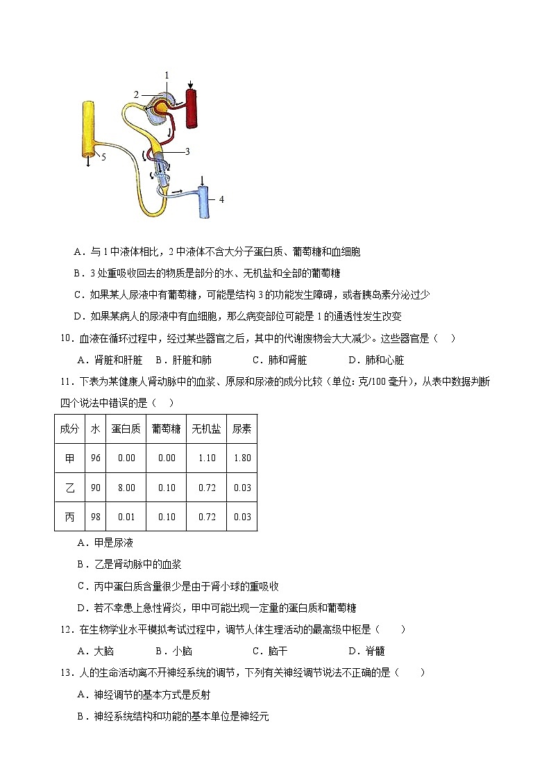 2023-2024学年苏科版八年级上学期生物期中学情调研试卷(含答案解析)第3页