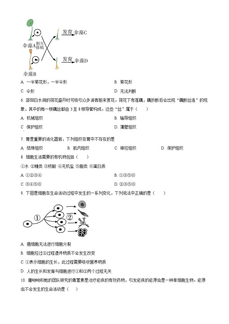 精品解析:湖南省邵阳市新邵县2023-2024学年七年级上学期期末生物试题(原卷版)第2页