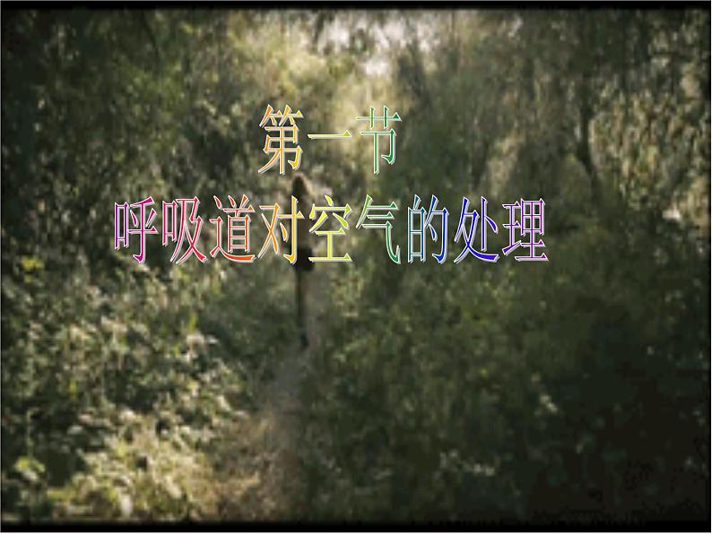 4.3.1呼吸道对空气的处理课件2023-2024学年人教版生物七年级下册01