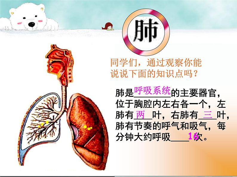 4.3.2发生在肺内的气体交换课件2023-2024学年人教版生物七年级下册第4页