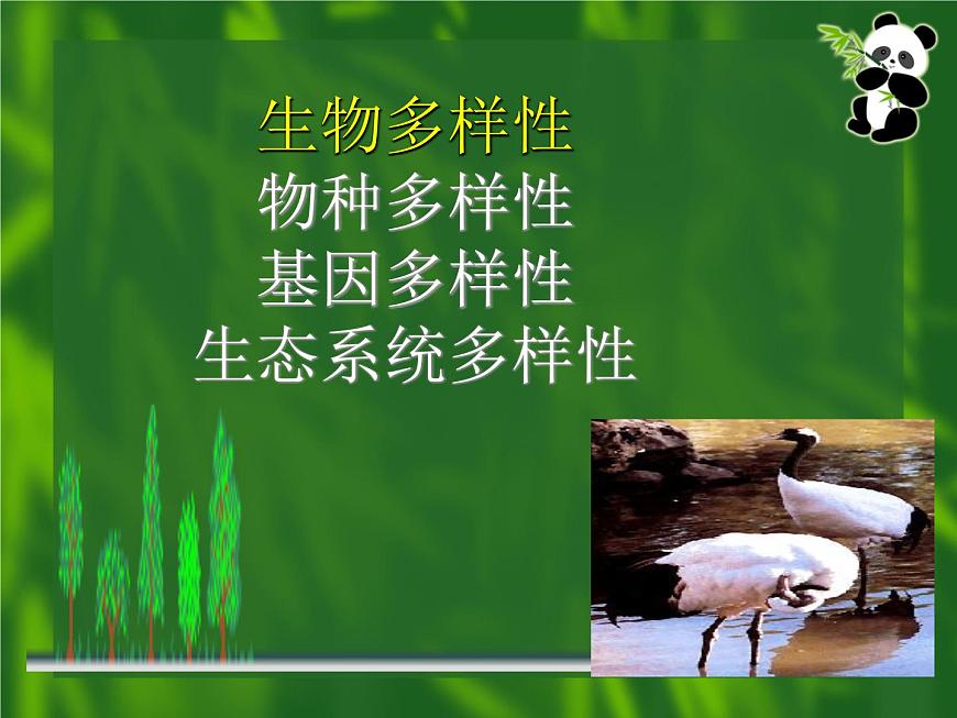 9.2.2保護(hù)生物多樣性課件2023--2024學(xué)年魯科版生物八年級下冊第3頁