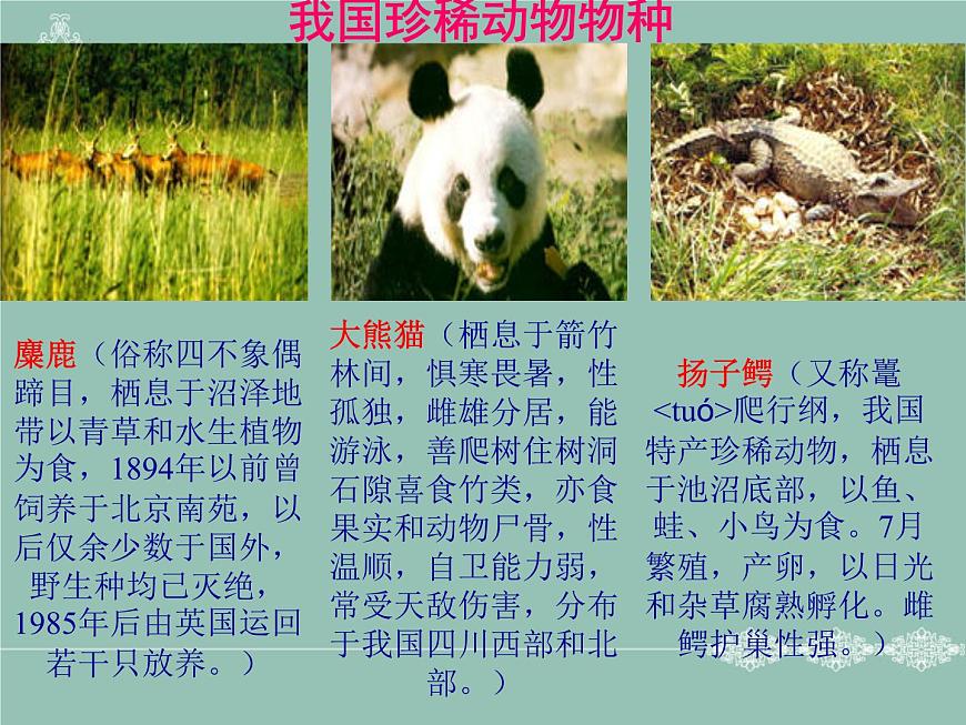 9.2.2保護(hù)生物多樣性課件2023--2024學(xué)年魯科版生物八年級下冊第6頁