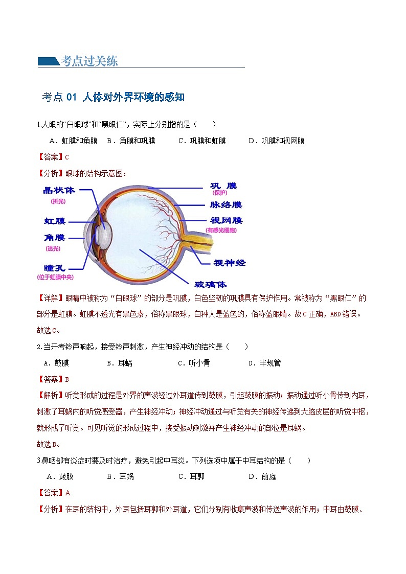 专题14 人体生命活动的调节(练习,4大考点)-2024年中考生物一轮复习课件+讲义+练习 (全国通用)02