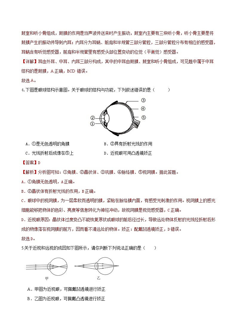 专题14 人体生命活动的调节(练习,4大考点)-2024年中考生物一轮复习课件+讲义+练习 (全国通用)03