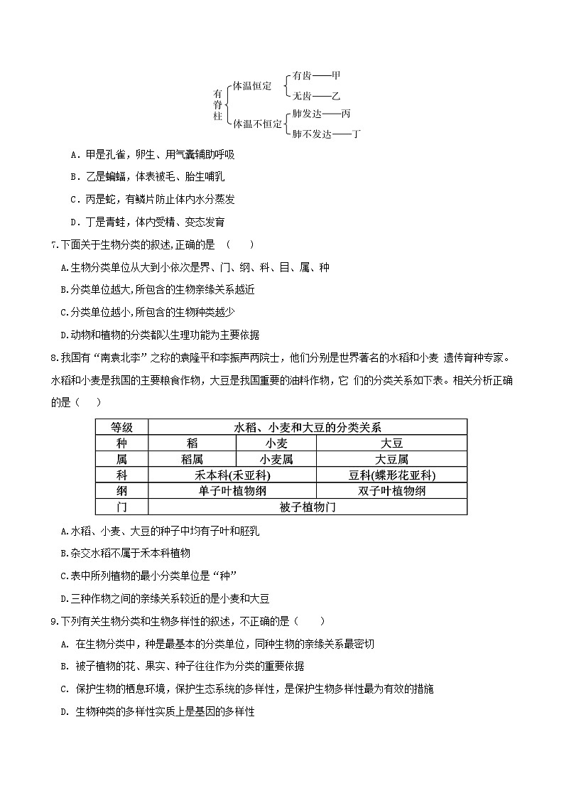 专题19 生物多样性及其保护(练习,2大考点)-2024年中考生物一轮复习课件+讲义+练习 (全国通用)03
