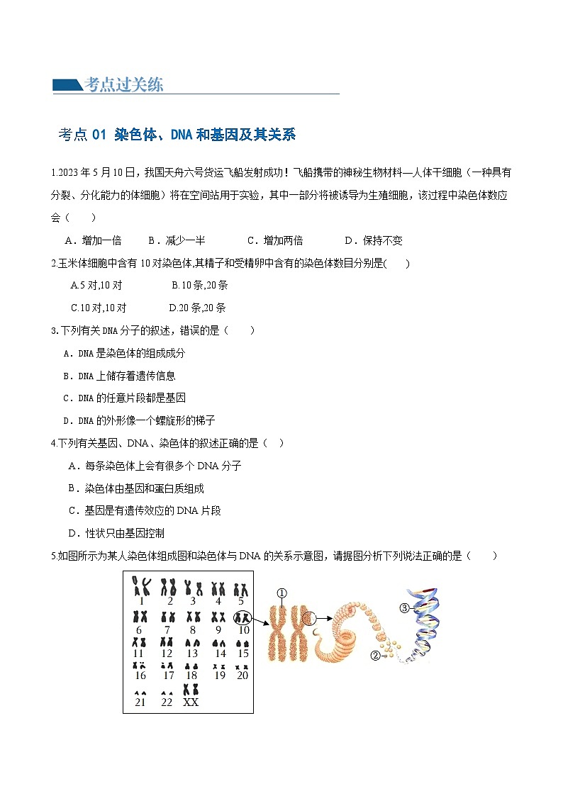 专题21 生物的遗传和变异(练习,4大考点)-2024年中考生物一轮复习课件+讲义+练习 (全国通用)02