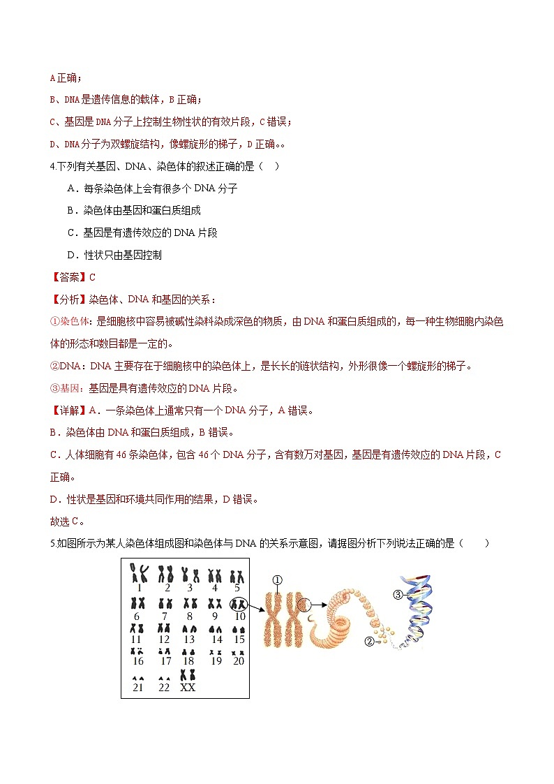 专题21 生物的遗传和变异(练习,4大考点)-2024年中考生物一轮复习课件+讲义+练习 (全国通用)03