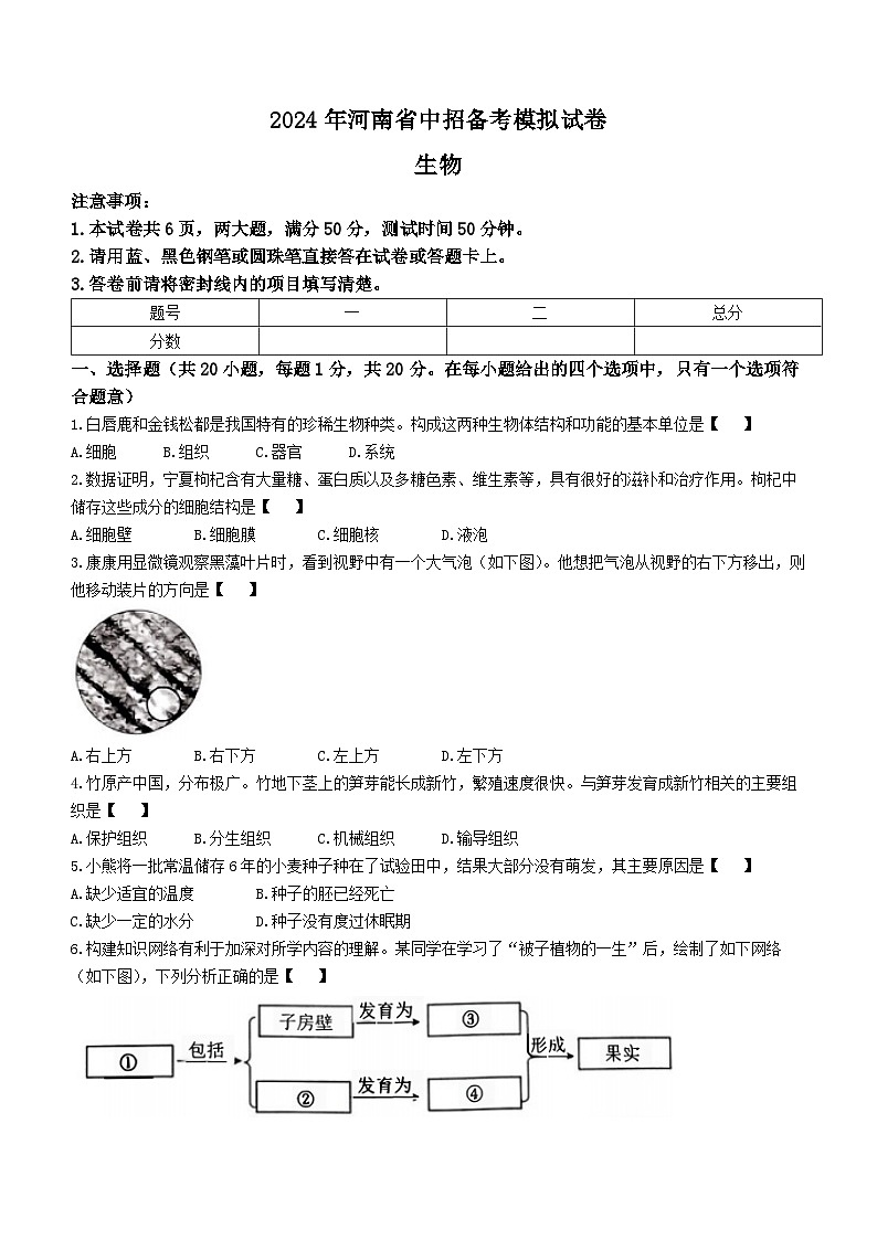 2024年河南省驻马店市驿城区一模生物试题01
