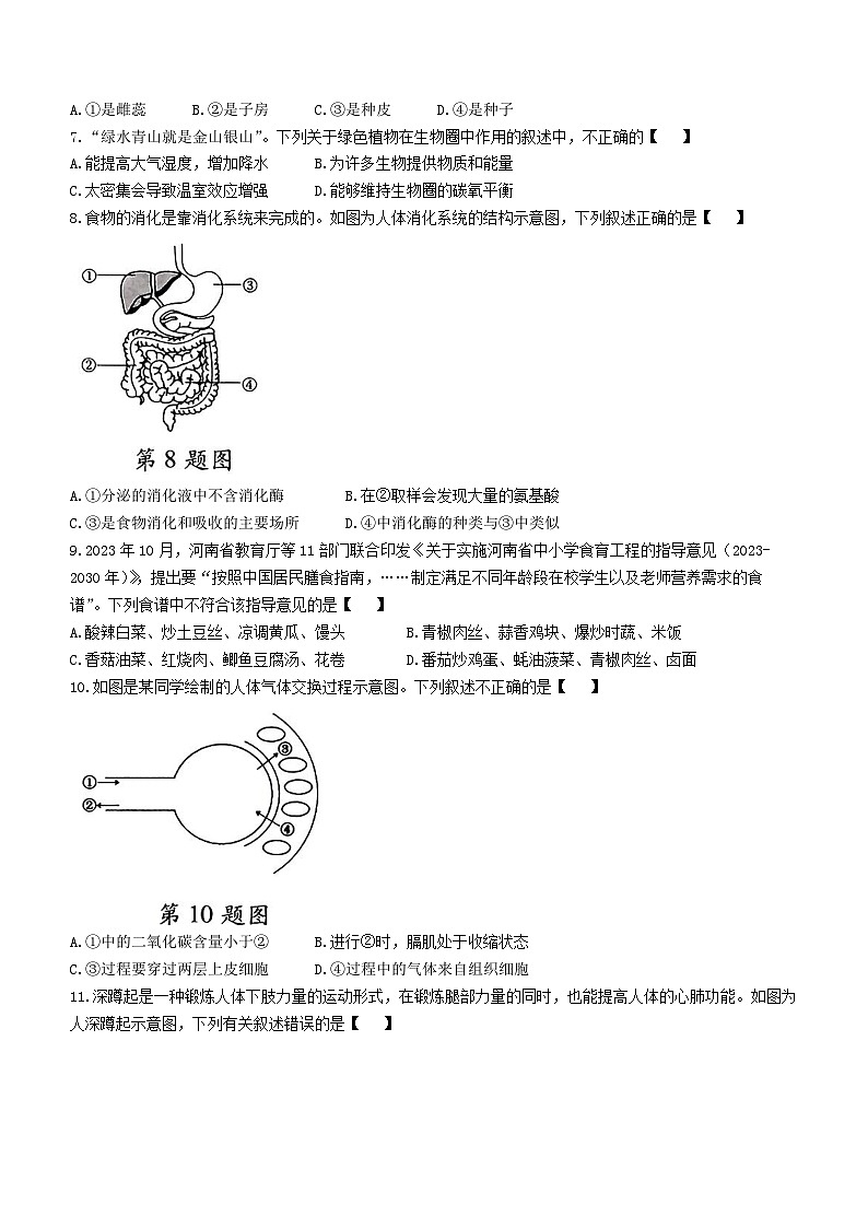 2024年河南省驻马店市驿城区一模生物试题02