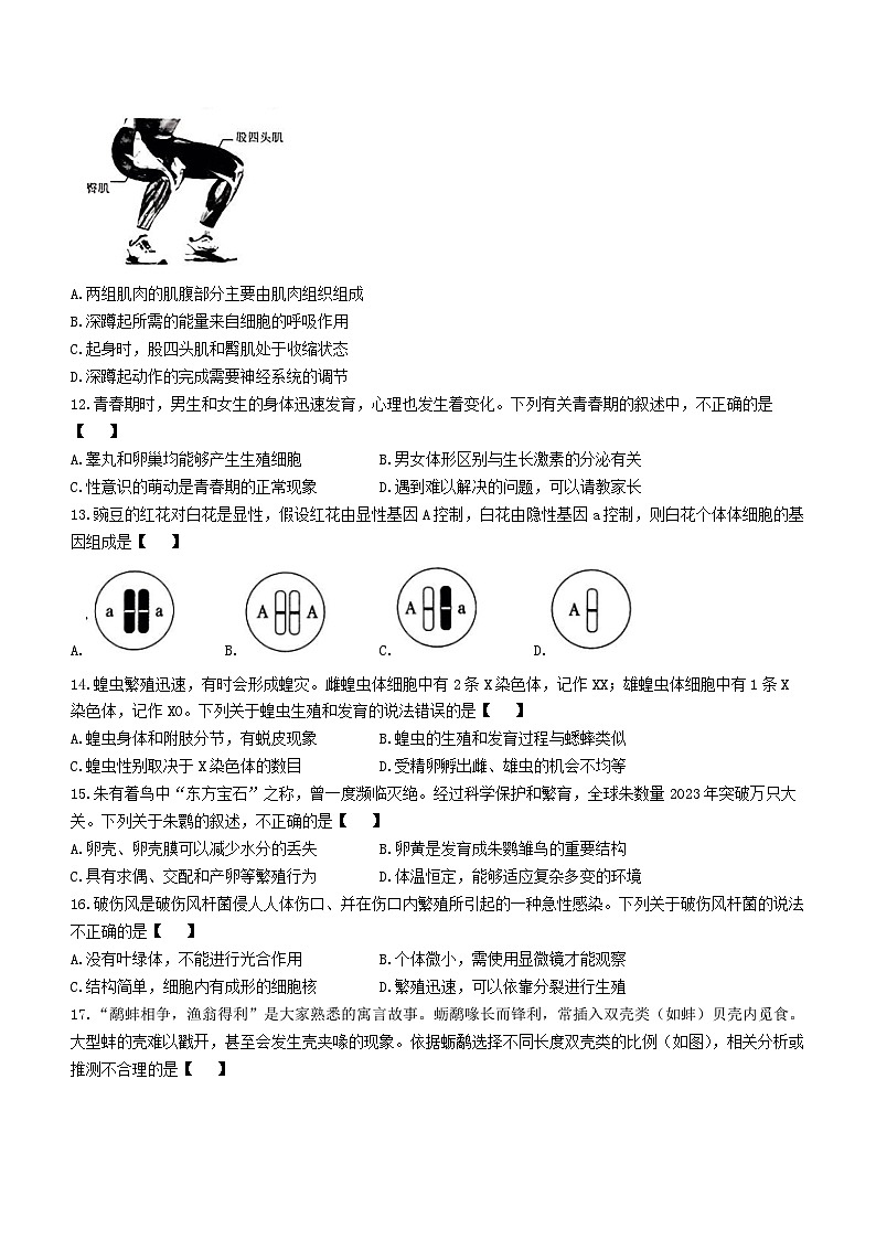 2024年河南省驻马店市驿城区一模生物试题03