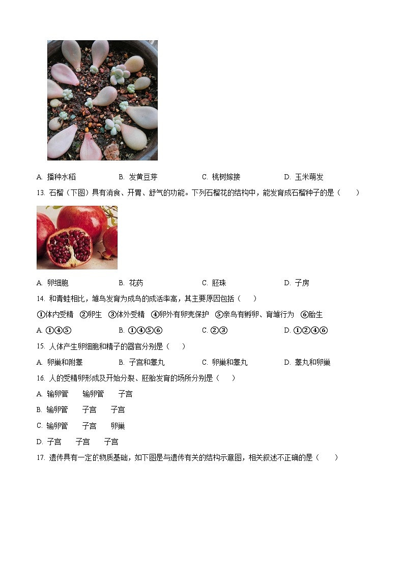河北省保定市高碑店市2023-2024学年八年级上学期期末生物试题(原卷版+解析版)03