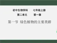 2.1.1++绿色植物的主要类群++课件-2023-2024学年济南版生物七年级上册