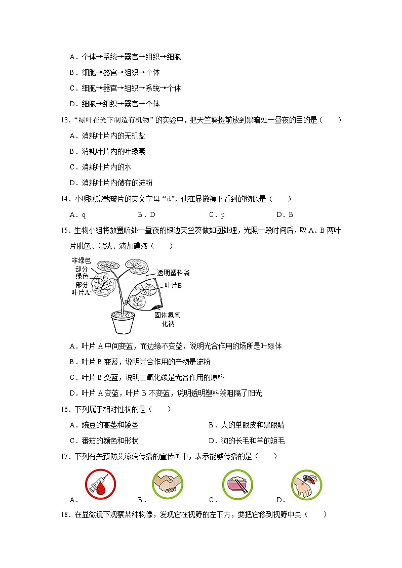 江苏省宿迁市沭阳县南洋学校2022-2023学年八年级下学期第三次月考生物试卷第3页