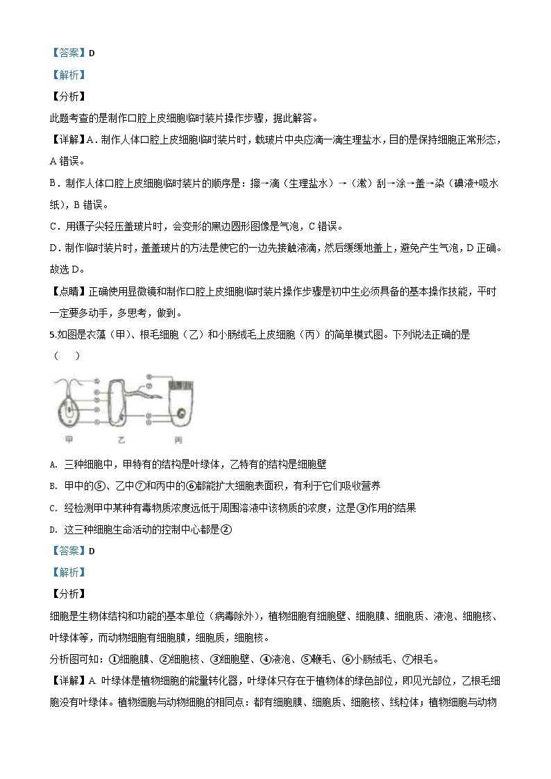 山东省临沂市2020年中考生物试题（含解析）03