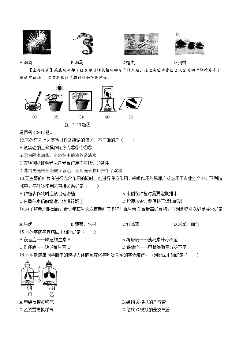 2024年广东省湛江市廉江市一模生物试题(无答案)02