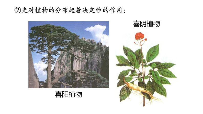 23.1生物的生存依赖一定的环境课件2023--2024学年北师大版生物八年级下册第8页