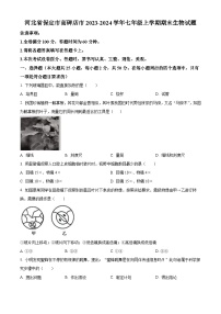 河北省保定市高碑店市2023-2024學(xué)年七年級上學(xué)期期末生物試題（原卷版+解析版）