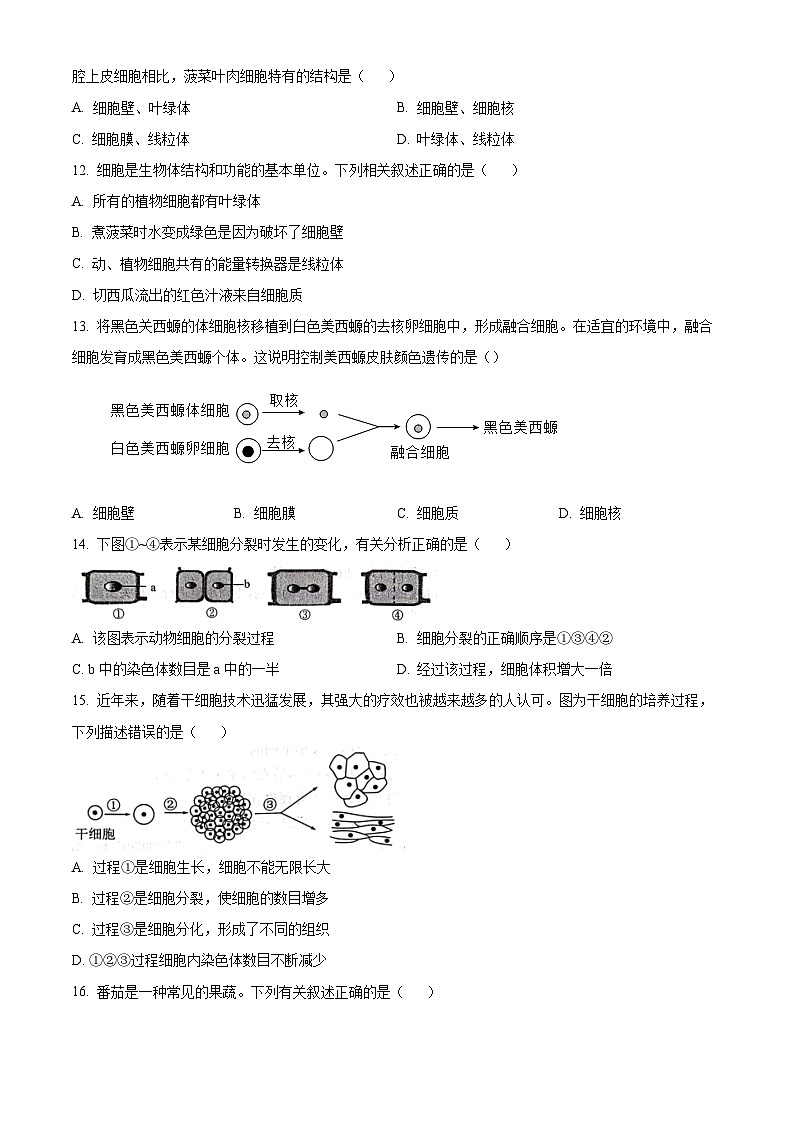 精品解析:河北省保定市竞秀区2023--2024学年七年级上学期期末生物试题(原卷版)第3页