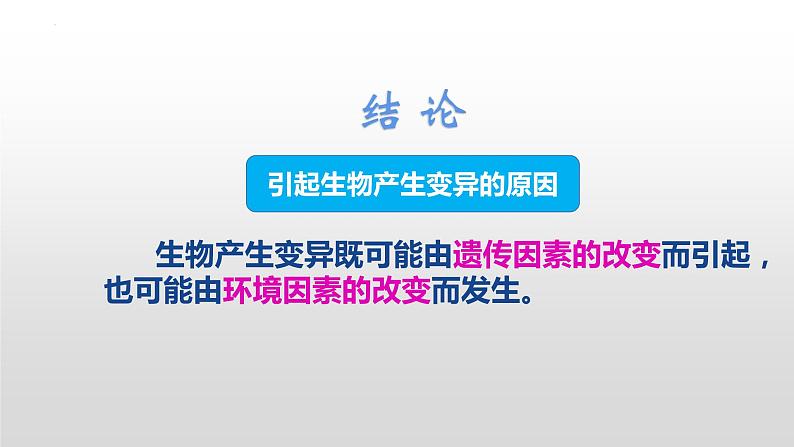 7.2.5++生物的变异++课件-2023-2024学年人教版生物八年级下册07