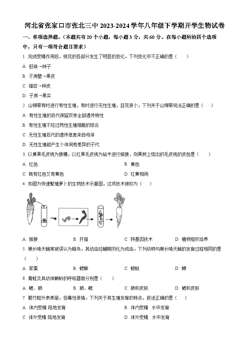 河北省张家口市张北三中2023-2024学年八年级下学期开学生物试题（原卷版+解析版）