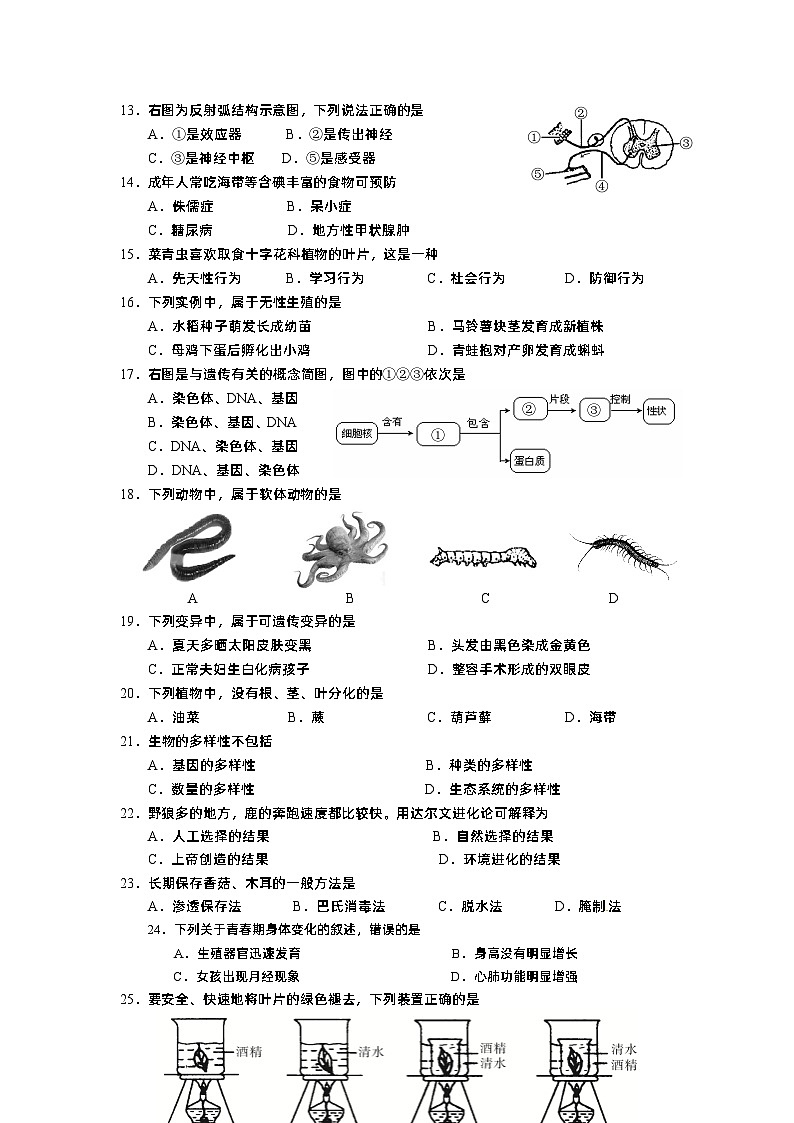 【全套精品专题】初中生物复习专题精讲 福建省三明市中考生物模拟试题(word版,含答案)第2页