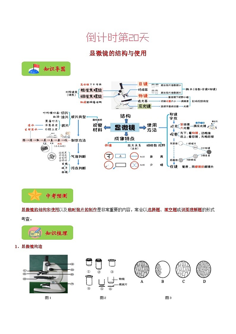 生物(一)-2023年中考考前20天终极冲刺攻略(原卷版)第3页